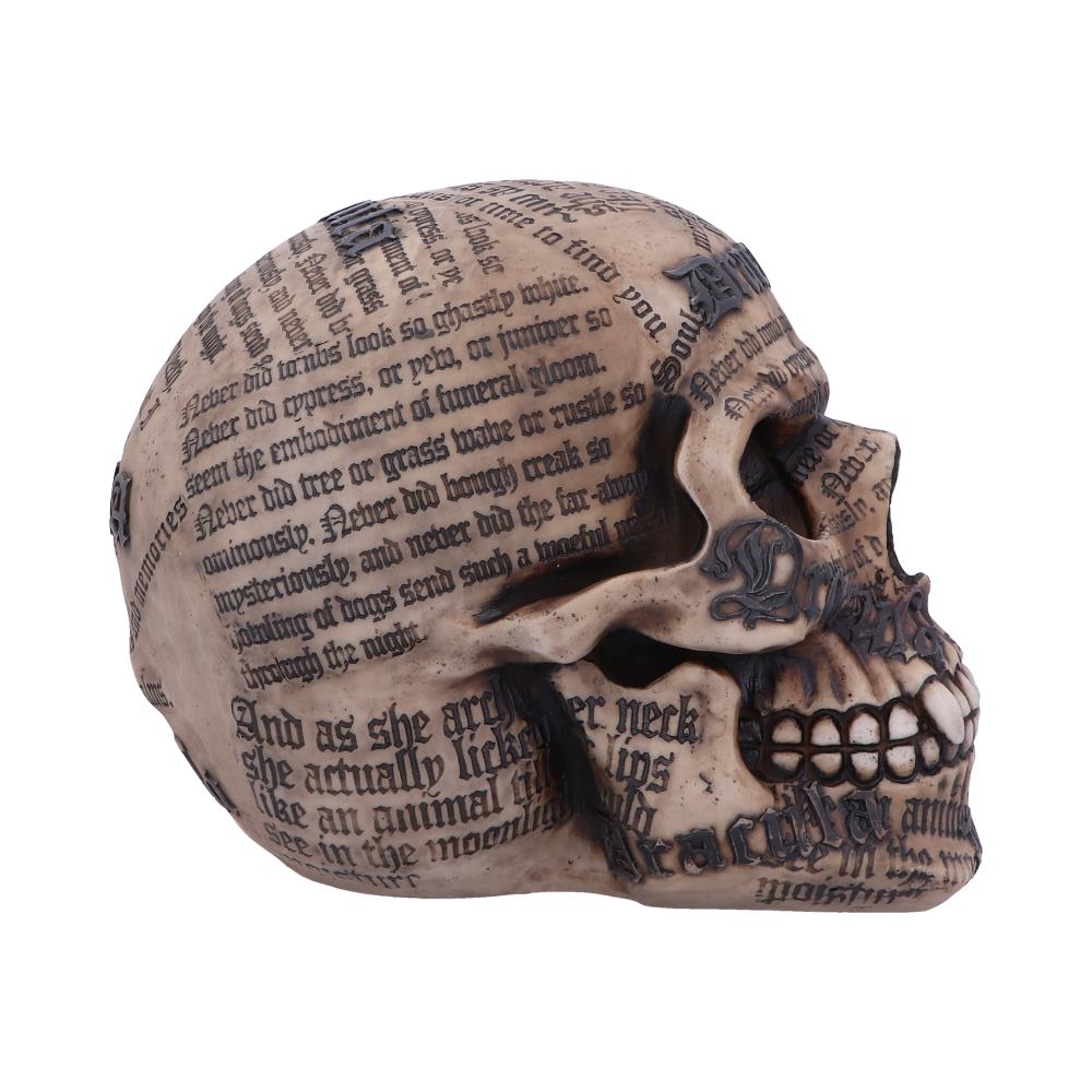 Dracula's Tale Skull