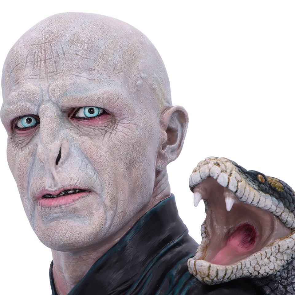 Harry Potter Lord Voldemort Bust