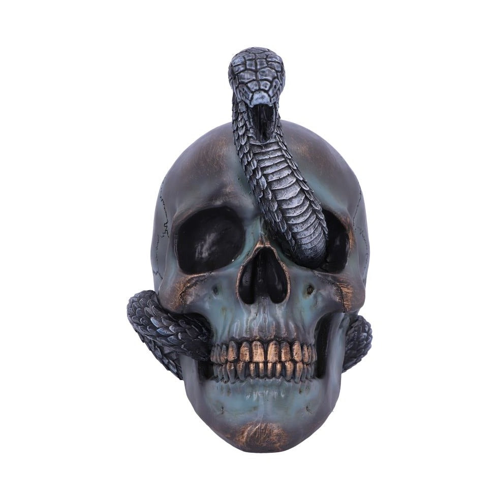 Serpentine Fate Gothic Snake Skull