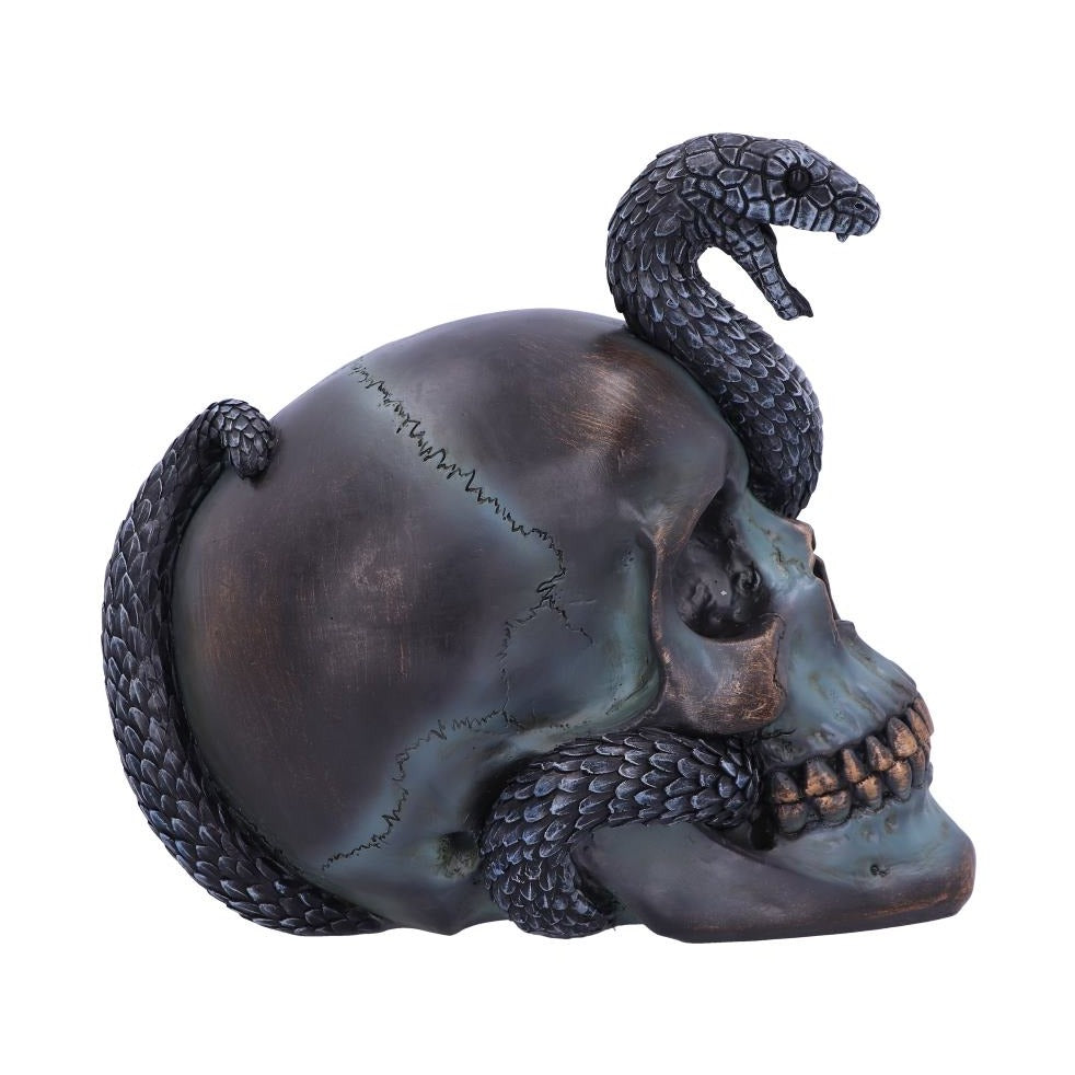 Serpentine Fate Gothic Snake Skull