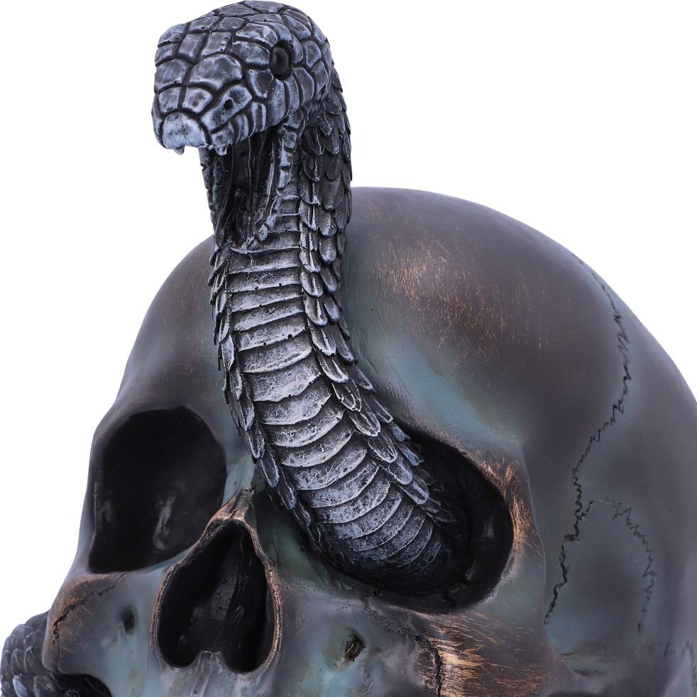 Serpentine Fate Gothic Snake Skull