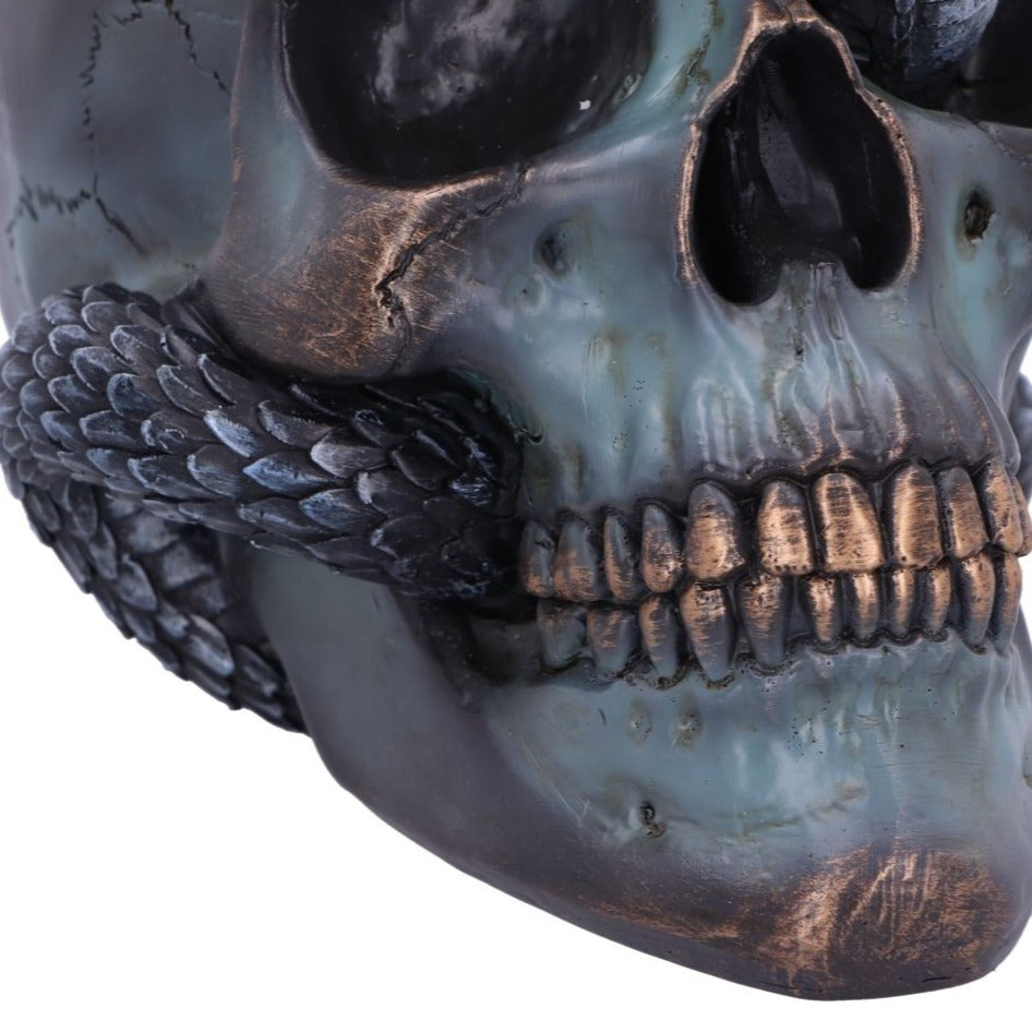 Serpentine Fate Gothic Snake Skull