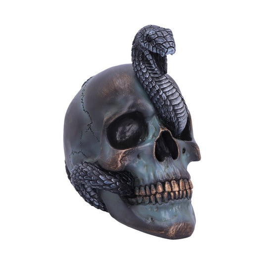 Serpentine Fate Gothic Snake Skull