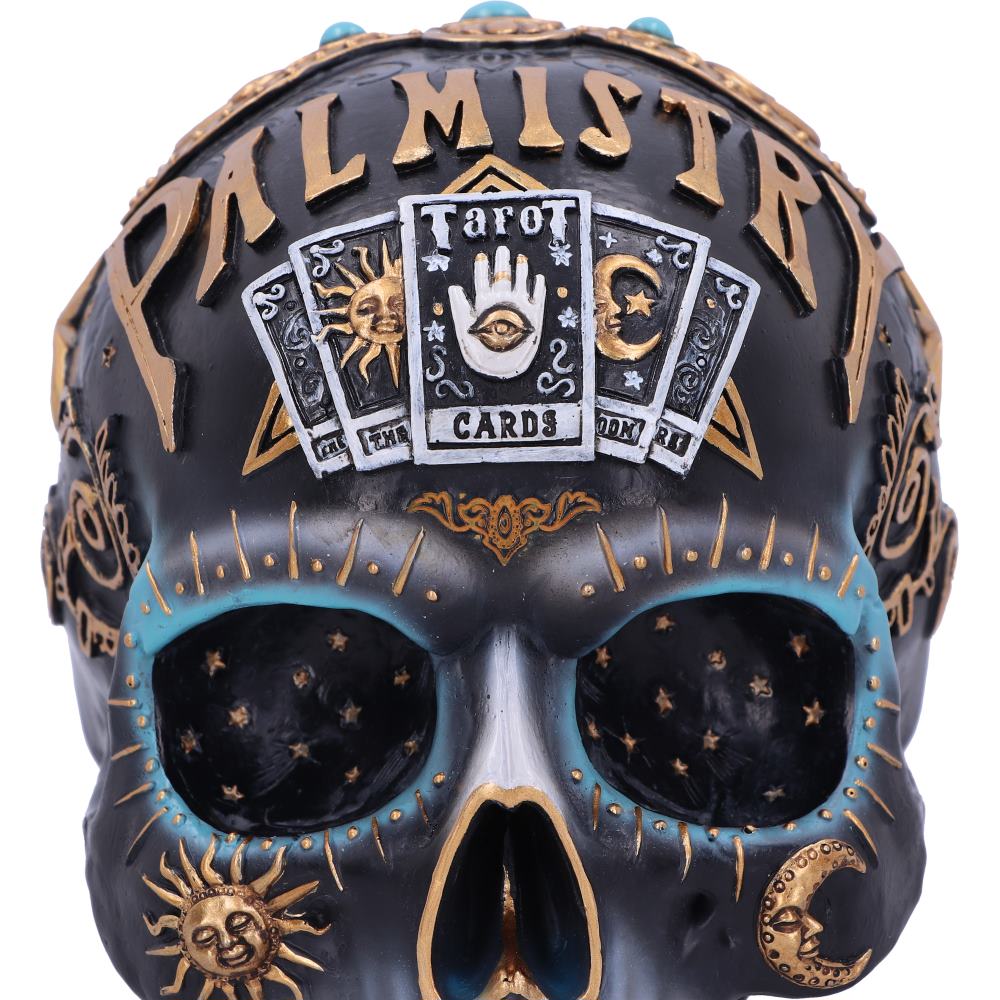 Destiny Palmistry Skull