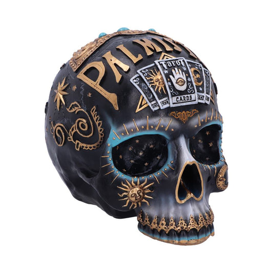 Destiny Palmistry Skull