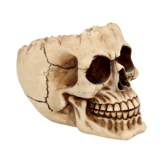 Lobo Skull