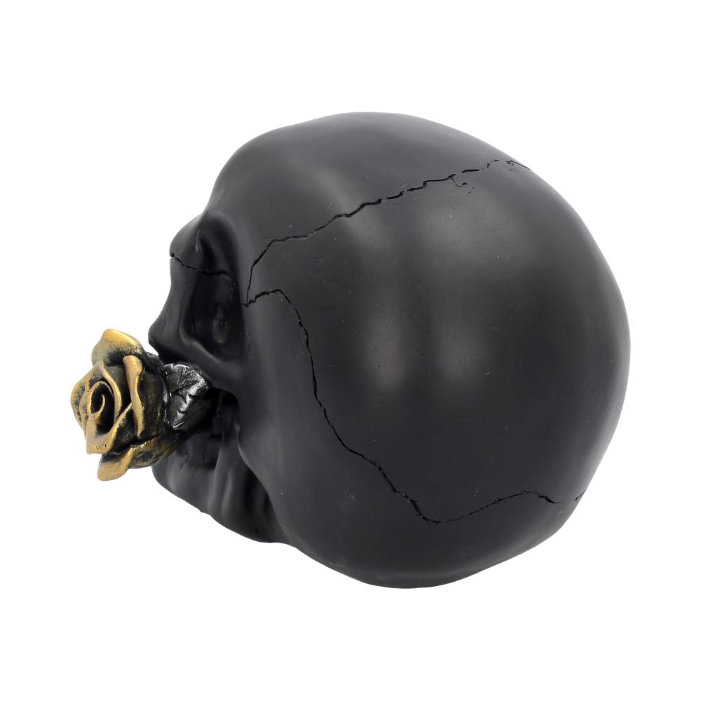 A rear view shows a matt black skull on a white background. There is a large crack that runs accross the back of it from the bottom to the top.