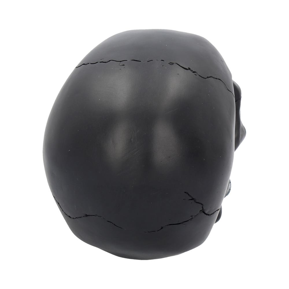 A view of the back of a skull which is black. There is a crack that runs along the top of it and also one at the base of the head. It is a matt looking black as opposed to shiny although there is a slight gleam to it with the light reflecting off of it.