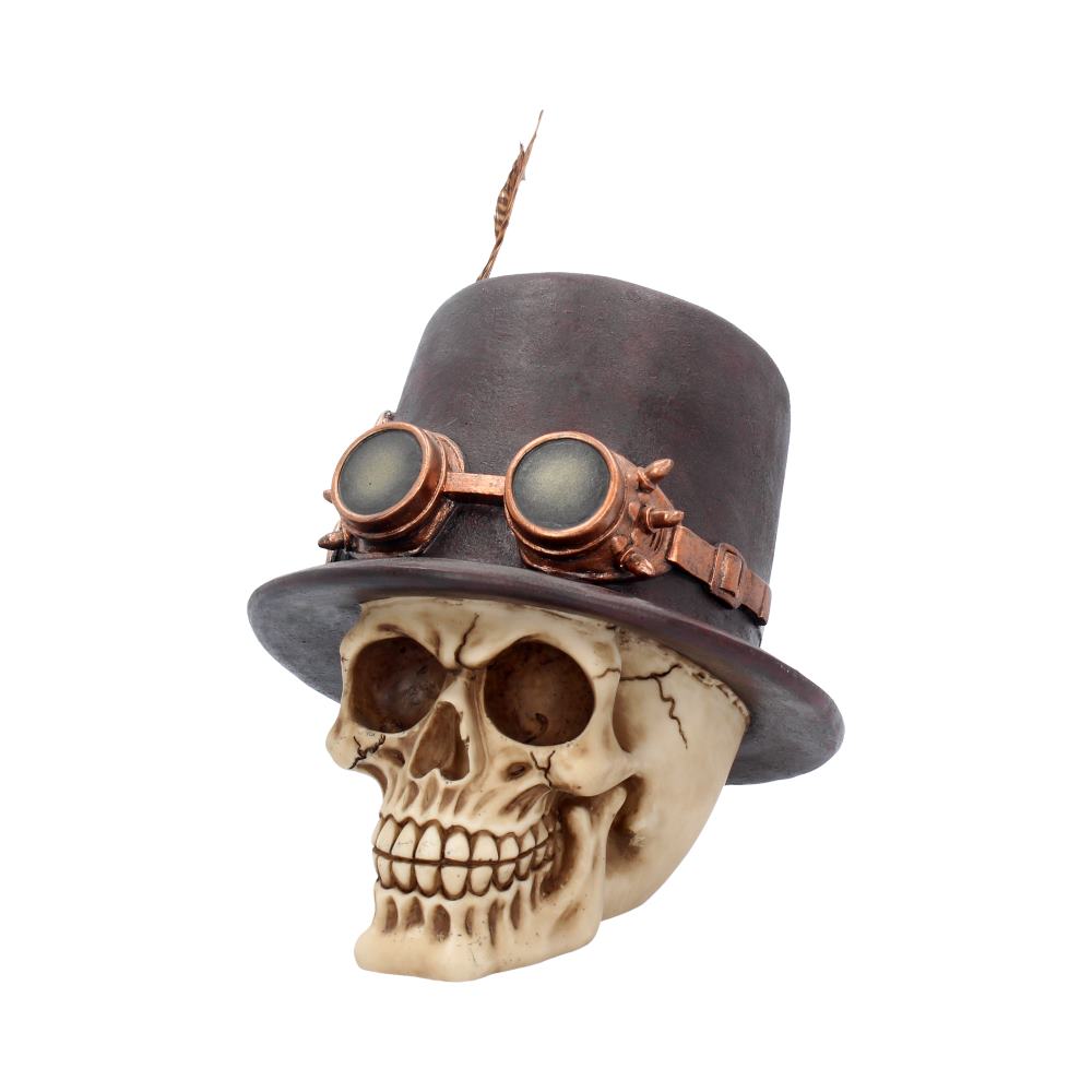 The Aristocrat Skull