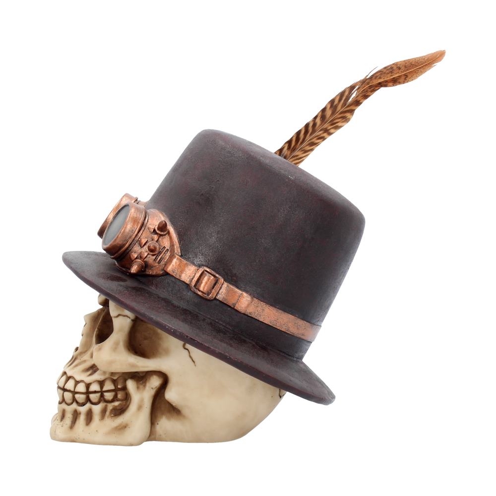 The Aristocrat Skull