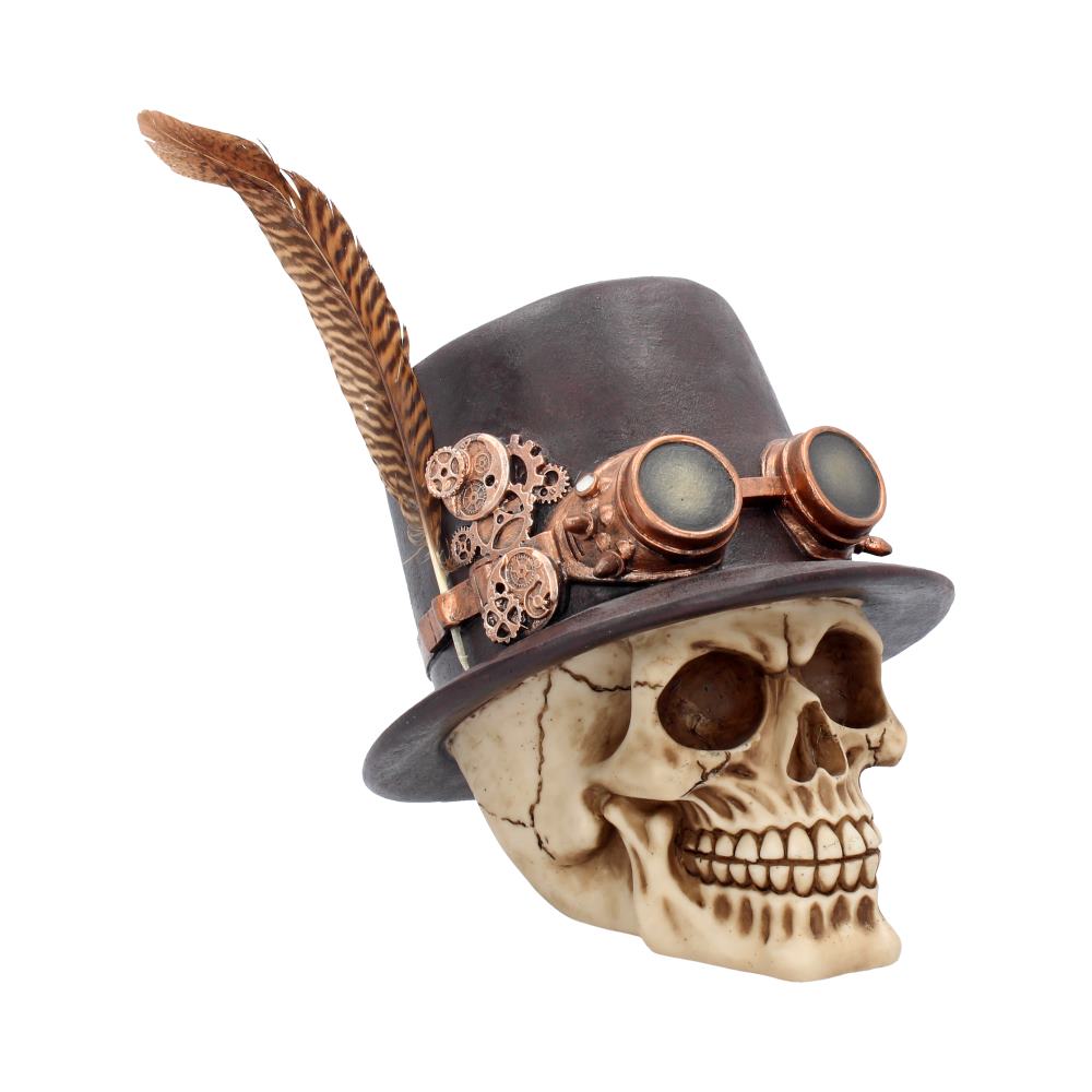 The Aristocrat Skull