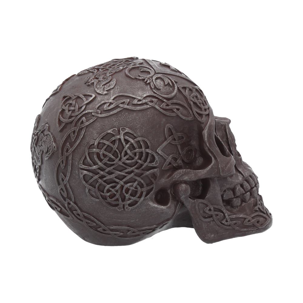 A grey skull sits with its right side on show. The cheekbones are sunken in and the jaw is clenched and is sitting forward. Several designs are on display that are imprinted onto the skull.
