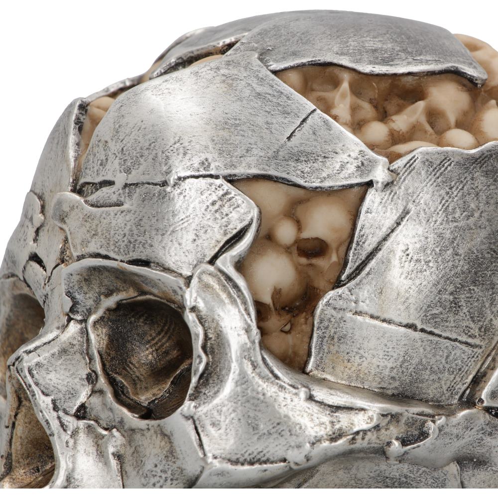 A close up view of a brain covered in metallic silver pieces of skull. There are detailed cracks on the cranium and the brain also has intricate detailing to it.