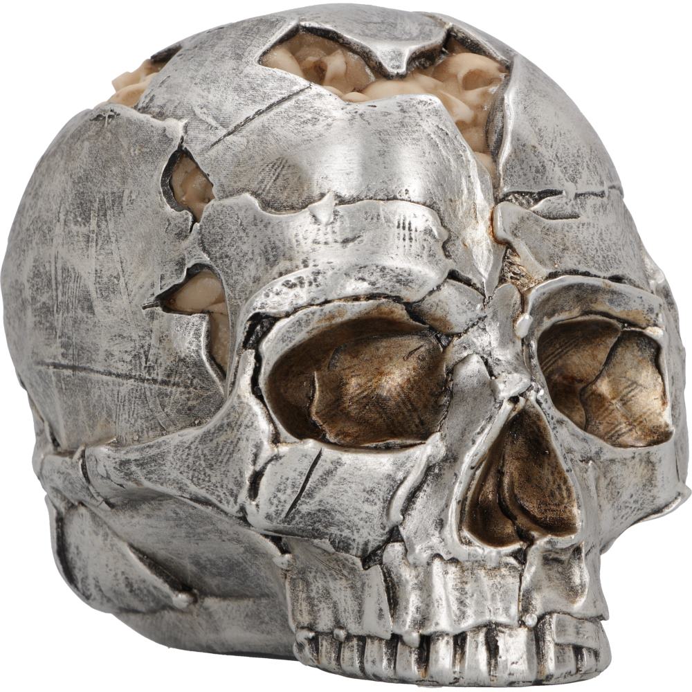 A large skull is on a white background. The main colour of it is a silver metallic look with peices cut out of it and what looks like brain underneath those pieces.