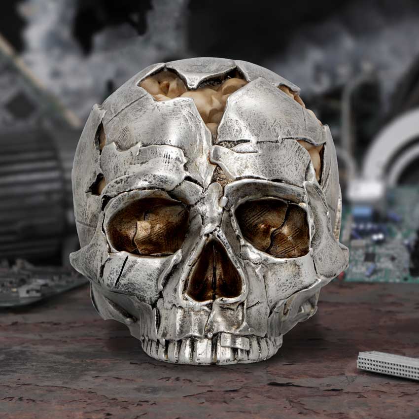 A front view of a skull sitting on a grey surface. With pieces missing and a Brain on show this has the look of a skull that has been maybe struck and fractured. Hollowed out eye and nose sockets are on display and there is a top row of teeth.