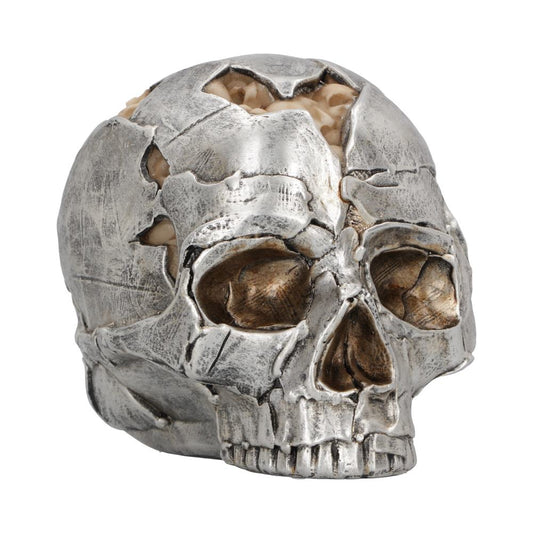 A large skull is on a white background. The main colour of it is a silver metallic look with peices cut out of it and what looks like brain underneath those pieces. 