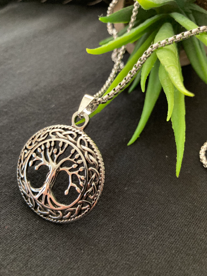 A circle pendant of the tree of life draped over a succulent plant on a black background. A silver coloured chain and pendant with a quality clasp. Touching the tree pattern you can feel the ridges of the design. 