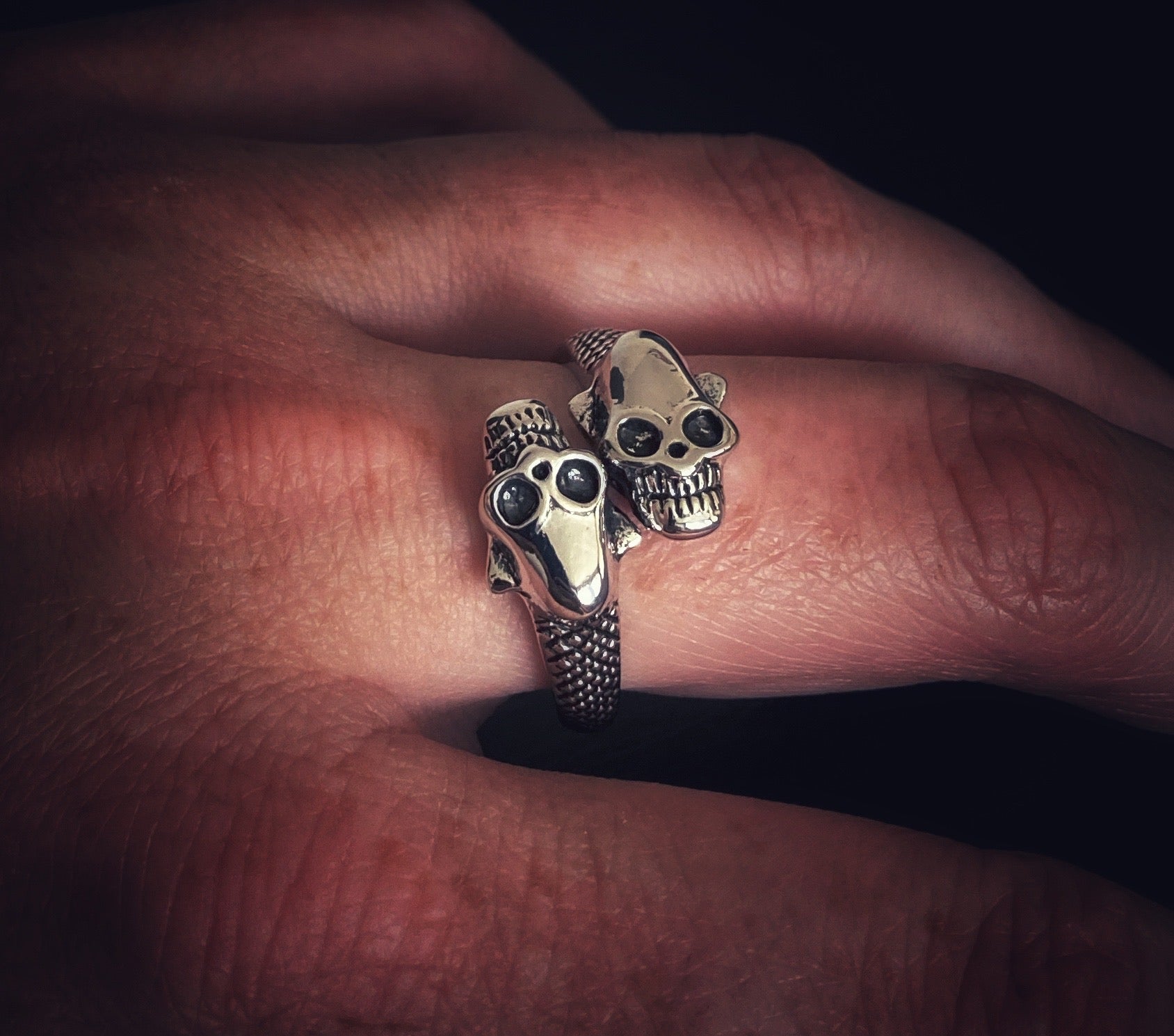 On a finger sits a chunky looking ring which is silver in colour. The two skull heads which are featured face opposite ways next to each other making this quite a wide ring. The skulls have their teeth bared and have a menacing look to them.