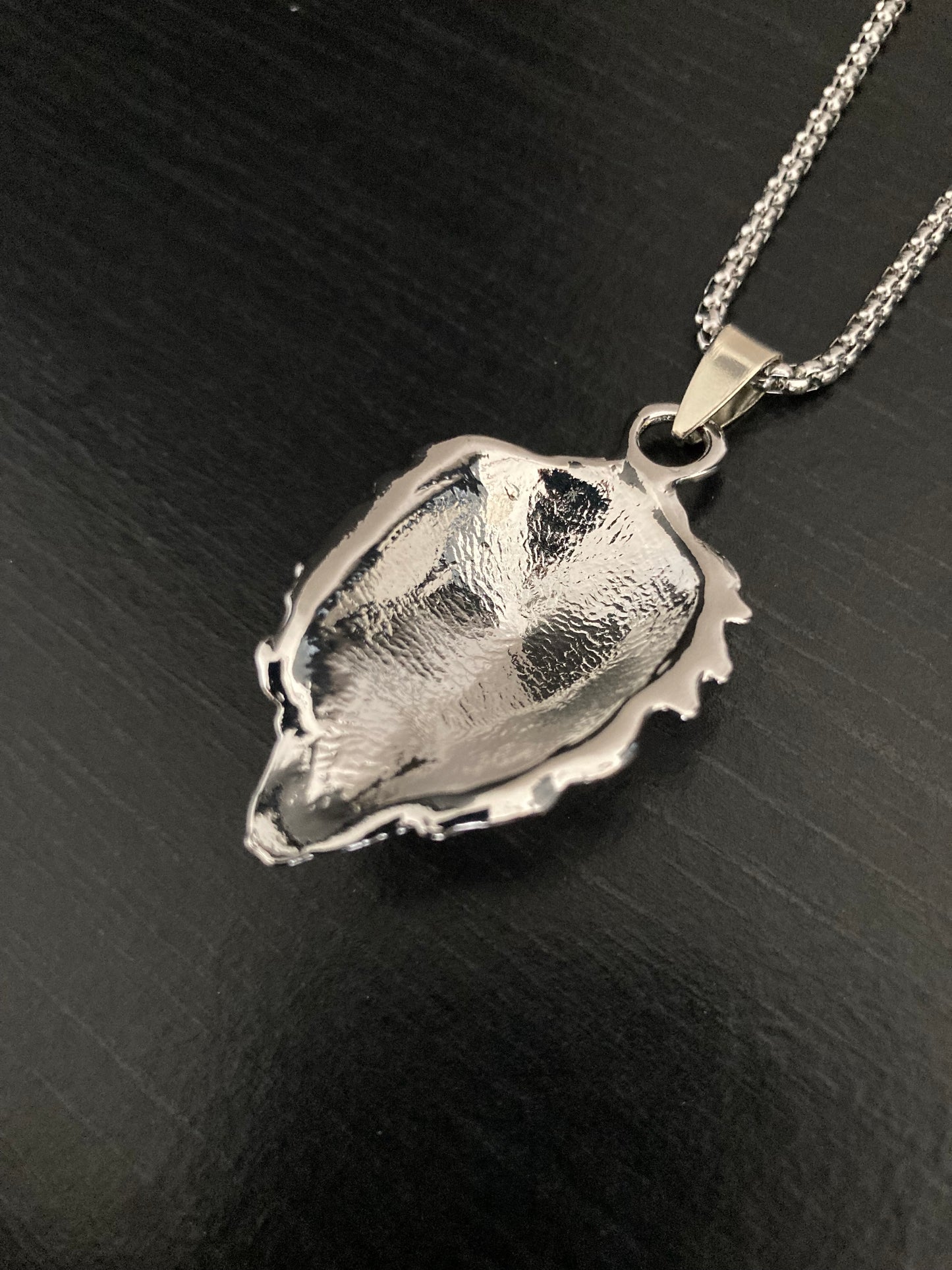 Showing the reverse side of a lion head pendant which is hollow and plain. Attached to a sturdy looking chain this item is the colour siver and is shiny to look at.